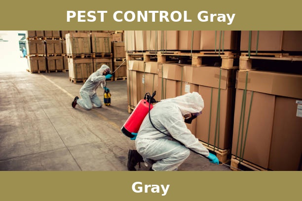 PEST CONTROL Gray